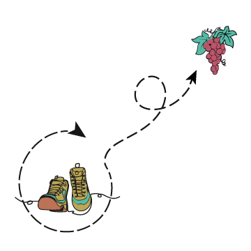 Bettinas_Weinevents_Weinwanderung